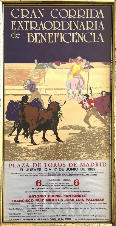 MADRID - PLAZA DE TOROS (Beneficiencia)