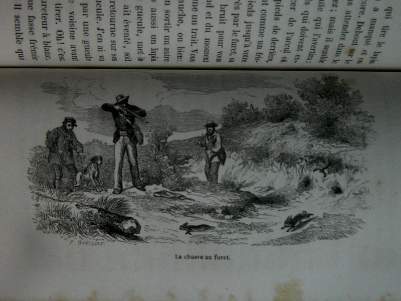LA VALLEE (J.) : La chasse à tir en France....
