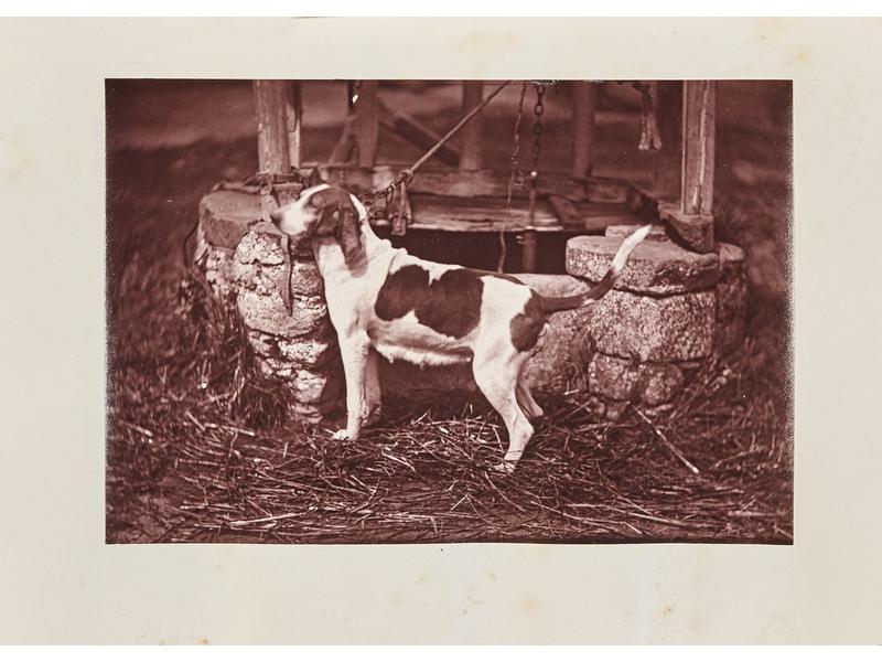 CHABOT (Comte de) : La chasse du chevreuil....