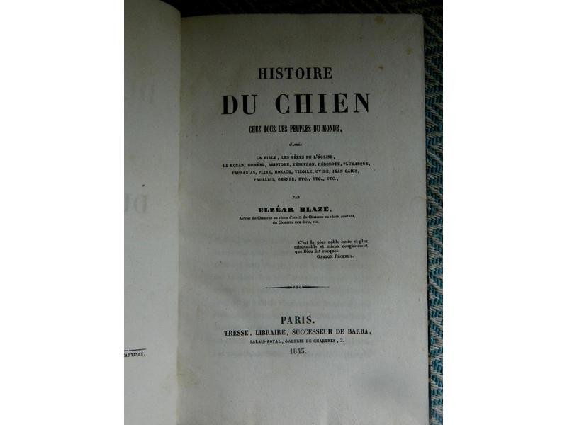 BLAZE (E.) : Histoire du chien chez tous...