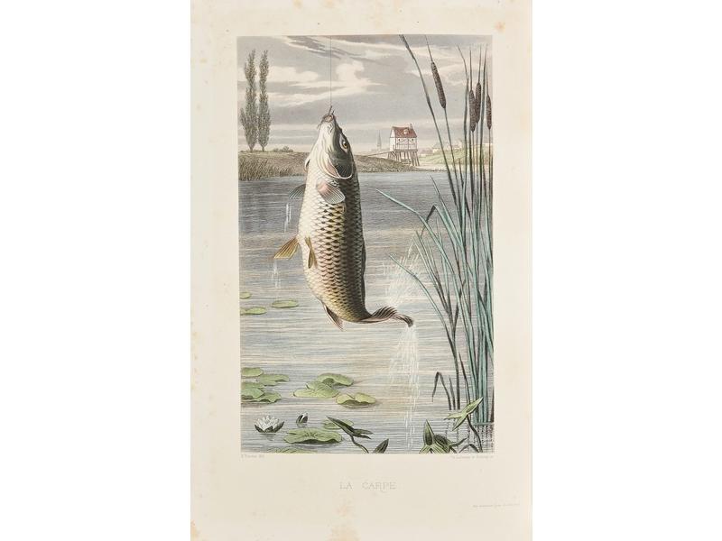 [COLLECTIF] La vie à la campagne. Chasse-Pêche-Courses-Haras....