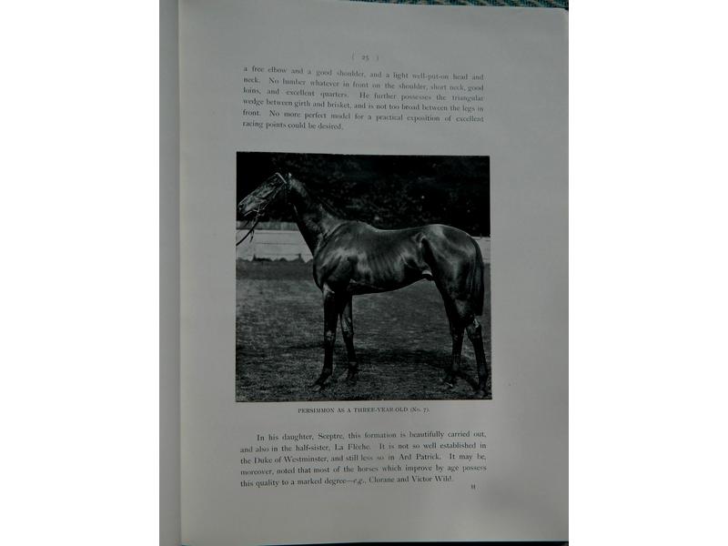HILLS (Sir John) : Points of a racehorse....