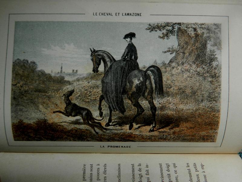 STIRLING-CLARKE (Mme J.) : Le cheval et l'Amazone....