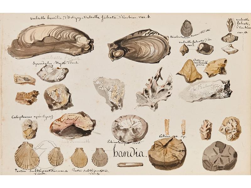 Comte Roger de BOUILLÉ dit JAM (1819-190...