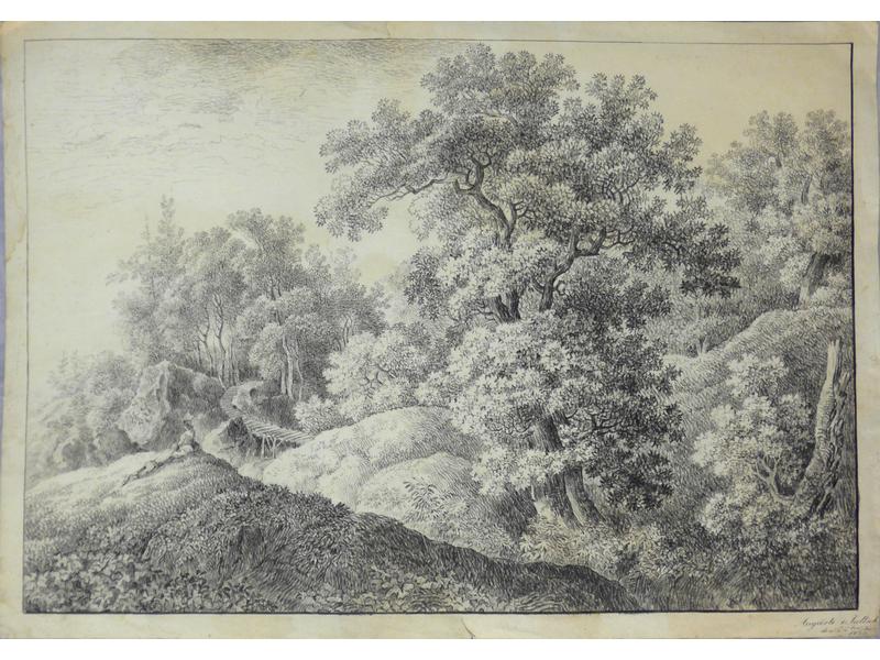 Auguste von TRELLSCH (?)