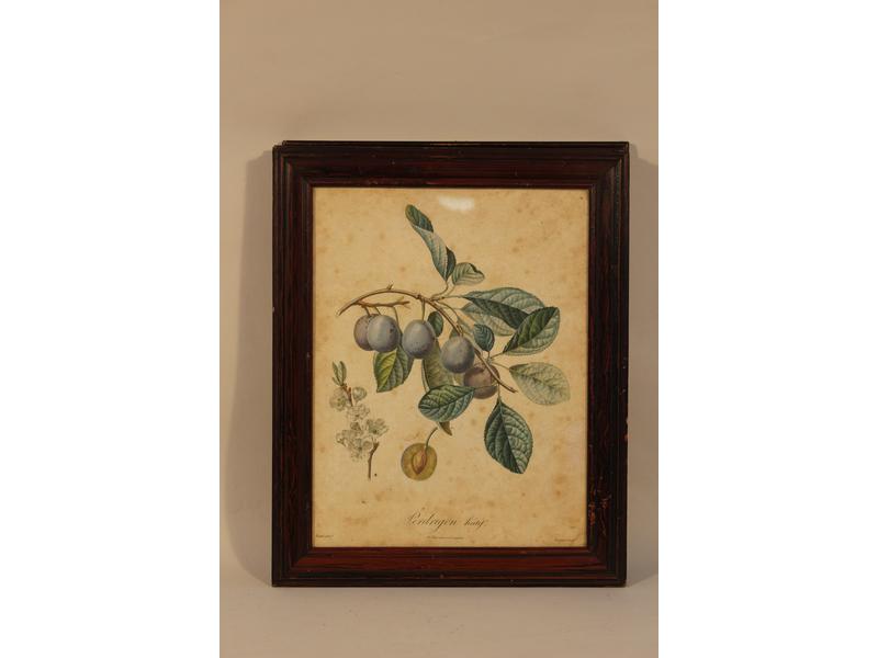 SUITE DE QUATRE GRAVURES en couleurs représentant...