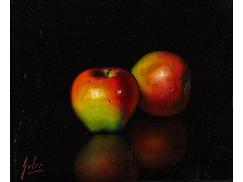 GALER (XXe siècle)