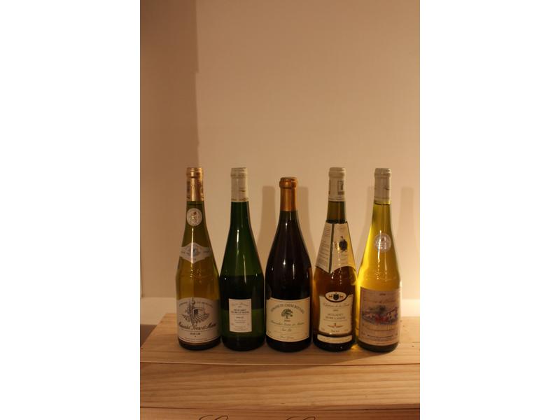 Lot de 5 Blles de MUSCADET, Loire, Blanc,...