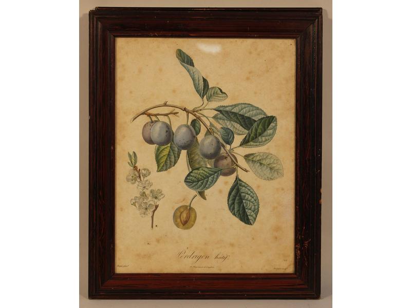 SUITE DE QUATRE GRAVURES en couleurs représentant...