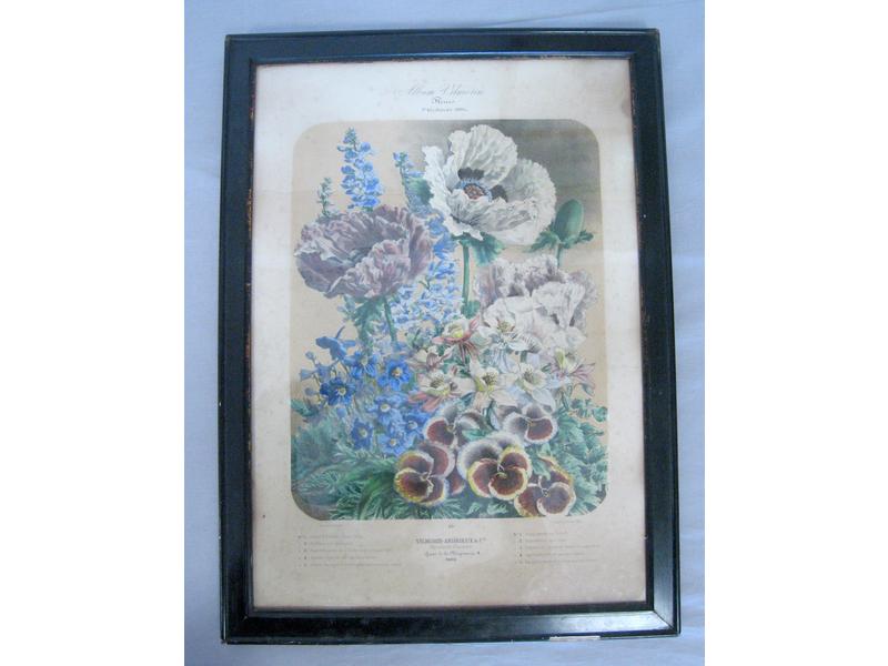 TROIS GRAVURES en couleurs,