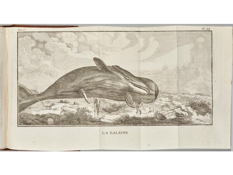BEAURIEU (G. de) : Cours d'histoire naturelle...