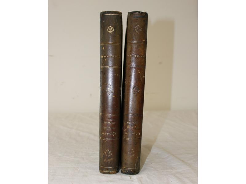 DE BLAY DE GAIX (Commandant), Histoire militaire...