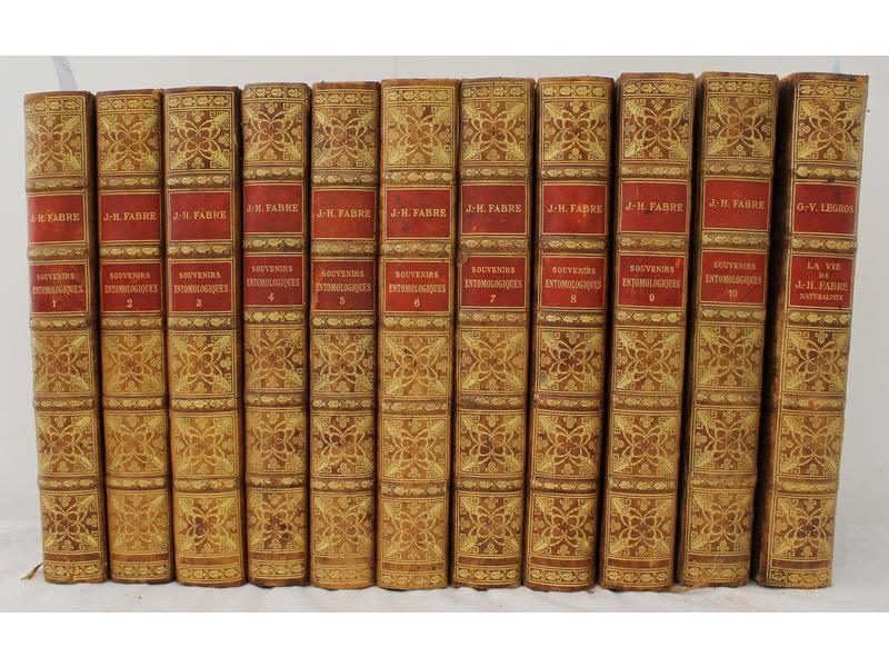 FABRE : Souvenirs entomologiques. Delagrave,...