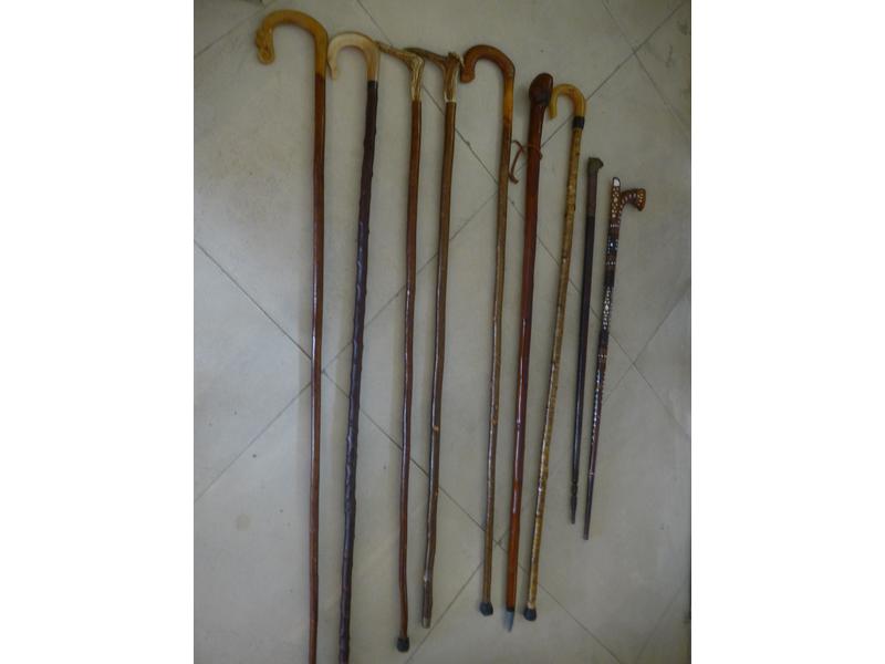 LOT DE 9 CANNES diverses, comprenant :