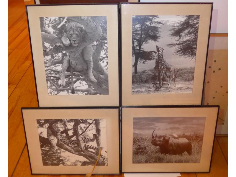 SERIE DE QUATRE SOUS-VERRES PHOTOGRAPHIES...