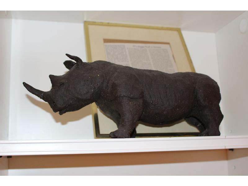 RHINOCEROS en terre.