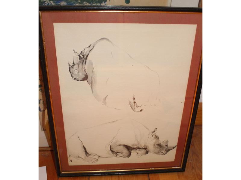 Rhinocéros et Bouquetins