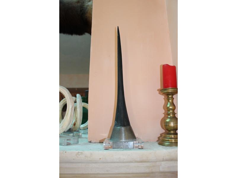 Marlin : rostre monté sur plexiglas « Striped...