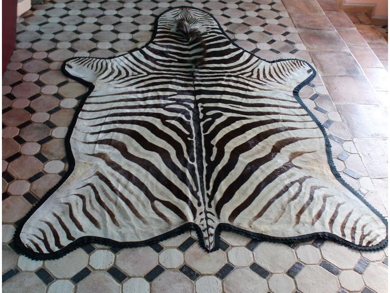 Zèbre de Burchell : peau montée en tapis...