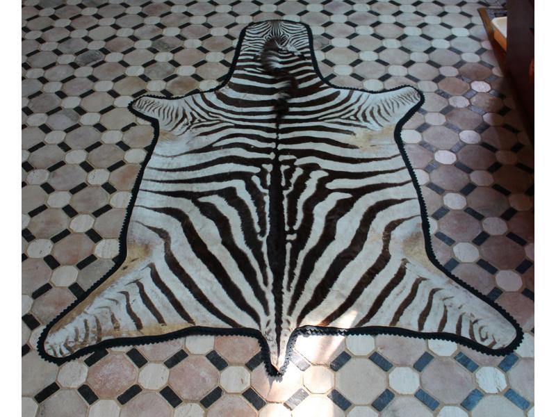 Zèbre de Burchell : peau montée en tapis...
