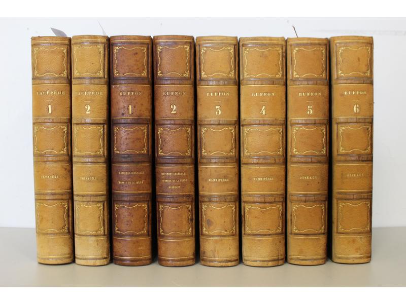 BUFFON et LACEPEDE, Œuvres. Furne, 1848.