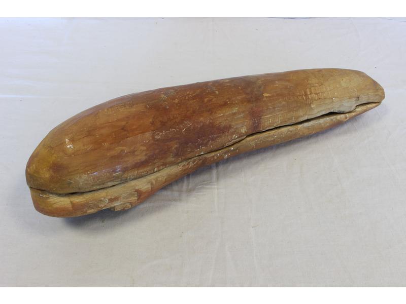 POISSON FOSSILE Rhacolepis, positif et n...