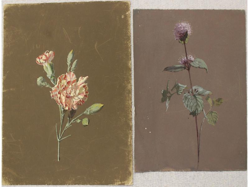 Didier PETIT DE MEURVILLE (1793-1873)