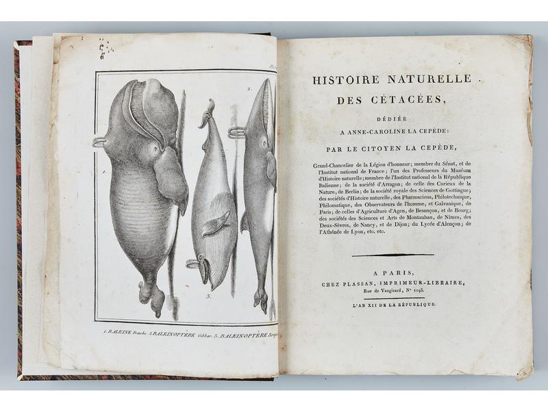 LACEPEDE, Histoire naturelle des Cétacées,...