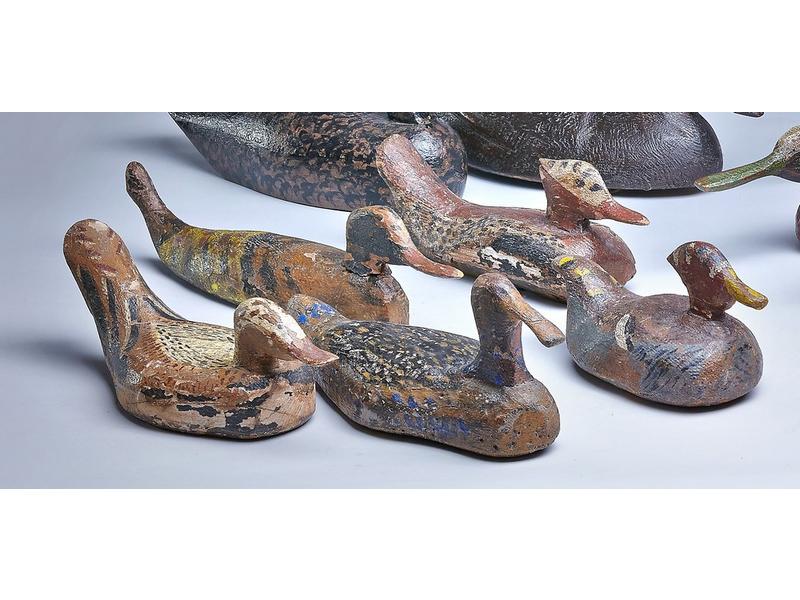 CINQ CANARDS OU APPELANTS en bois polychrome...