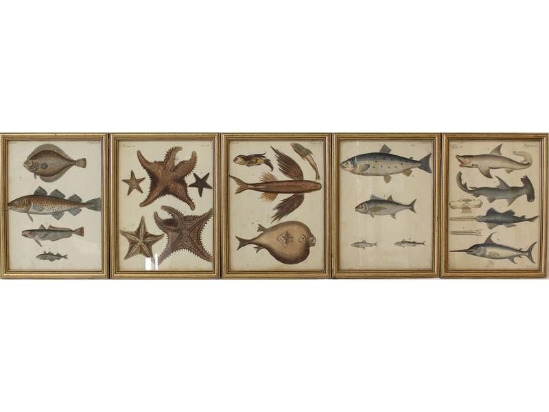 SUITE DE CINQ GRAVURES réhaussées d'aquarelle...