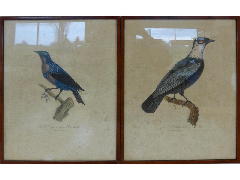 SUITE DE CINQ GRAVURES en couleurs représentant...