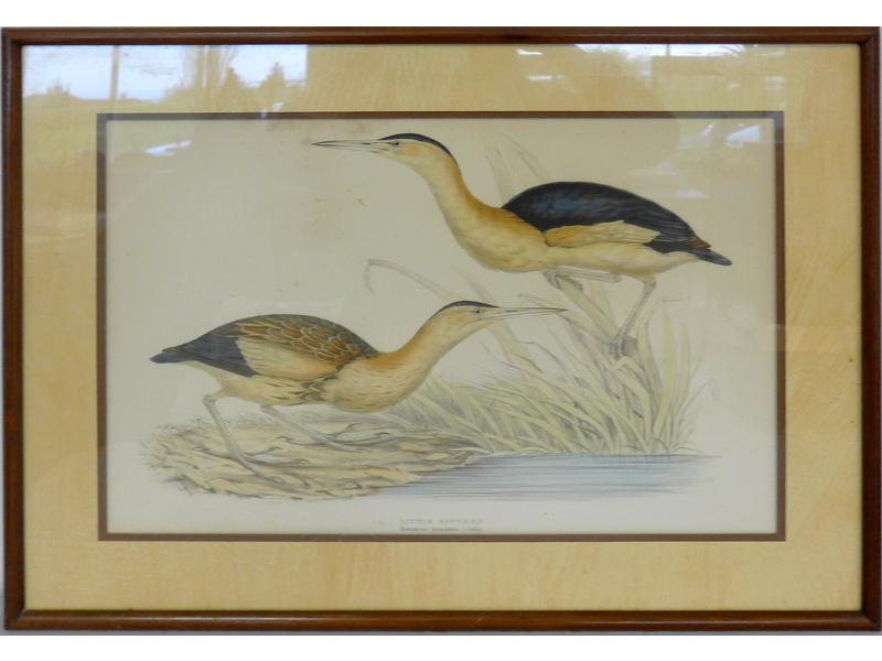 SUITE DE SIX LITHOGRAPHIES en couleurs d'oiseaux...