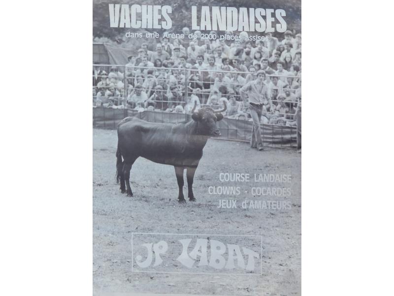 [Corrida] DAX - 1971, 1974, 1987 et Vaches...