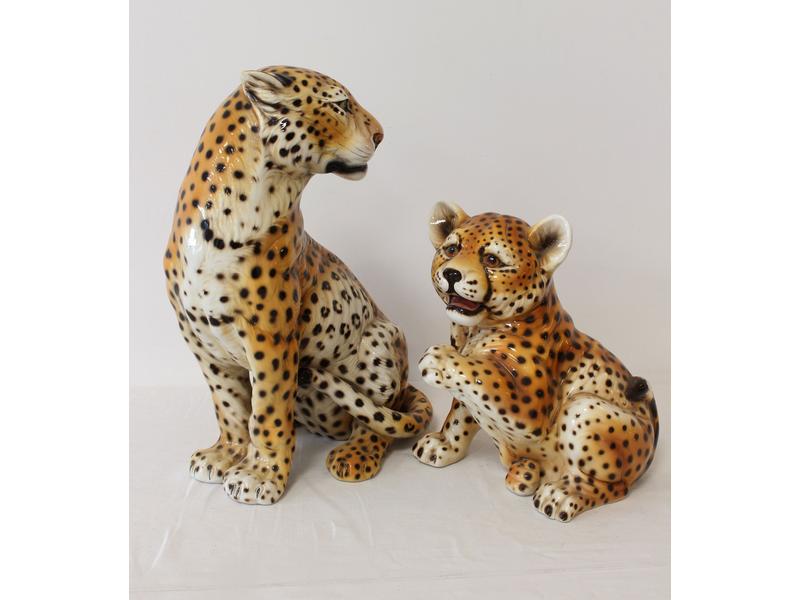 PANTHÈRE ET SON PETIT