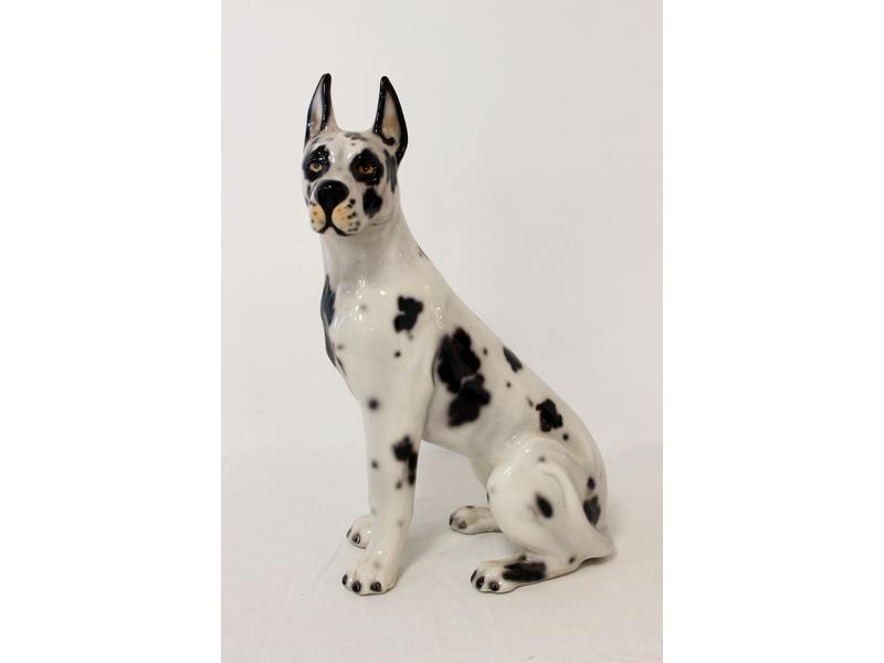 CHIEN DANOIS