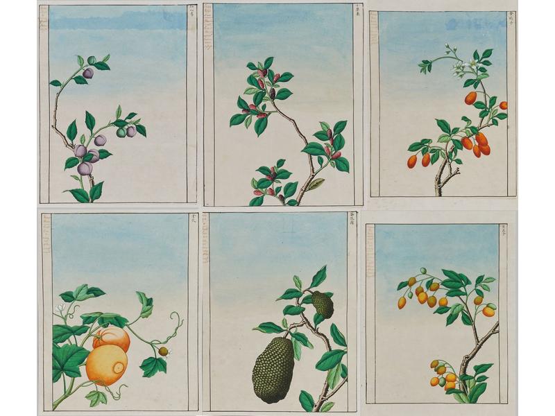ENSEMBLE DE SIX DESSINS AQUARELLÉS représentant...