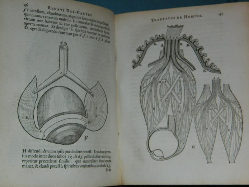 DESCARTES (R.) : Tractatus de Homine, et...