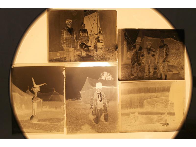 [CIRQUE] - 5 plaques négatives sur verre...