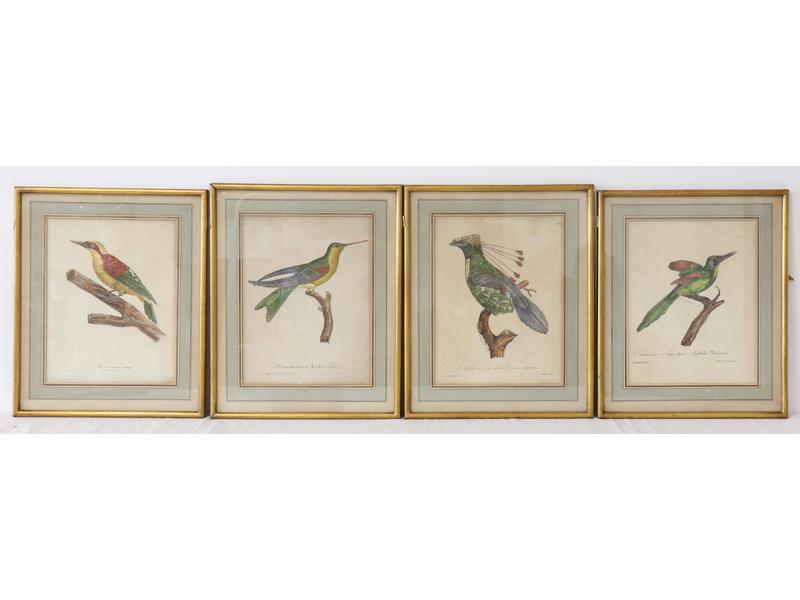 [ORNITHOLOGIE] - SUITE DE QUATRE GRAVURES...