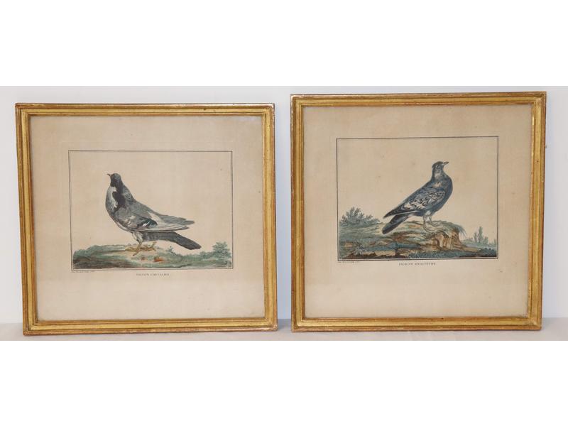 [ORNITHOLOGIE] - DEUX PAIRES DE GRAVURES