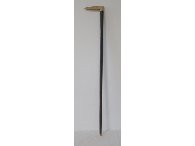 CANNE à fût en bois exotique et pognée équerre...