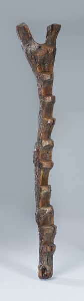 ECHELLE EN BOIS sculpté dans un tronc d'un...
