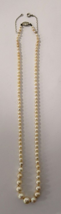 COLLIER de perles de culture en chute, avec...