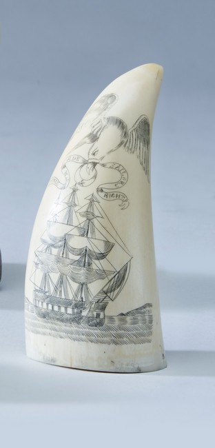 DENT DE CACHALOT dit SCRIMSHAW à décor gravé...
