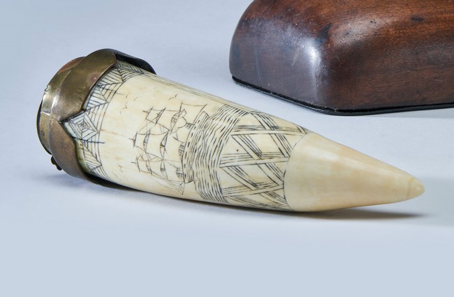 DENT DE CACHALOT dit SCRIMSHAW à décor gravé...