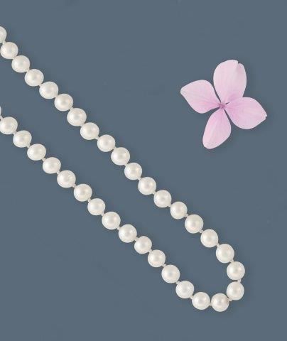 COLLIER de perles de culture choker avec...