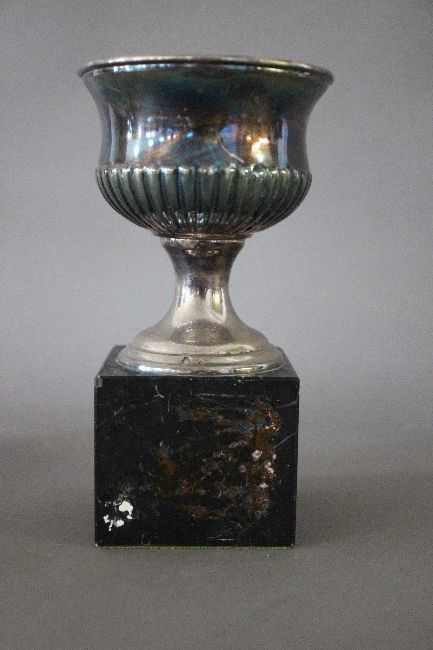 COUPE en forme de calice à godrons en argent...