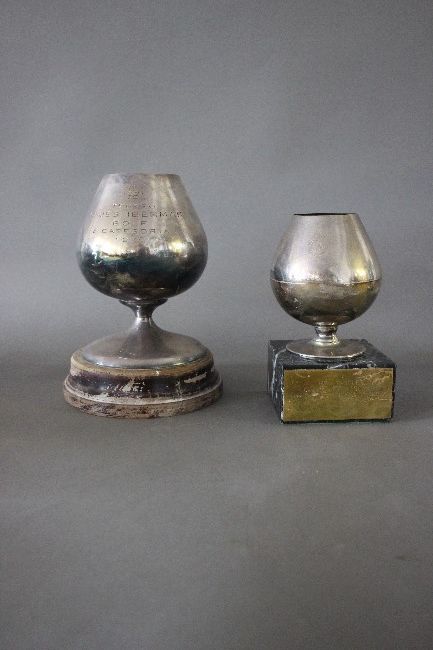 DEUX COUPES DE RÉCOMPENSE en forme de verre...