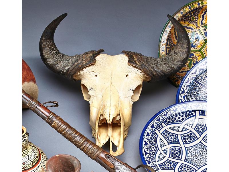DEUX MASSACRES DE BUFFLES ET ANTILOPES.