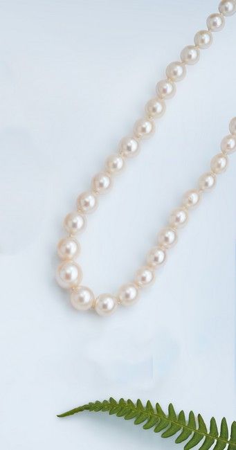 COLLIER DE PERLES de culture à un rang, fermoir...